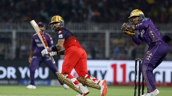 Ipl