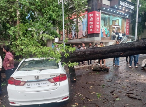 पावसामुळे वीज पडून सिन्नरला युवकाचा मृत्यू, चार तासांमध्ये 30 मिलिमीटर पडला पाऊस