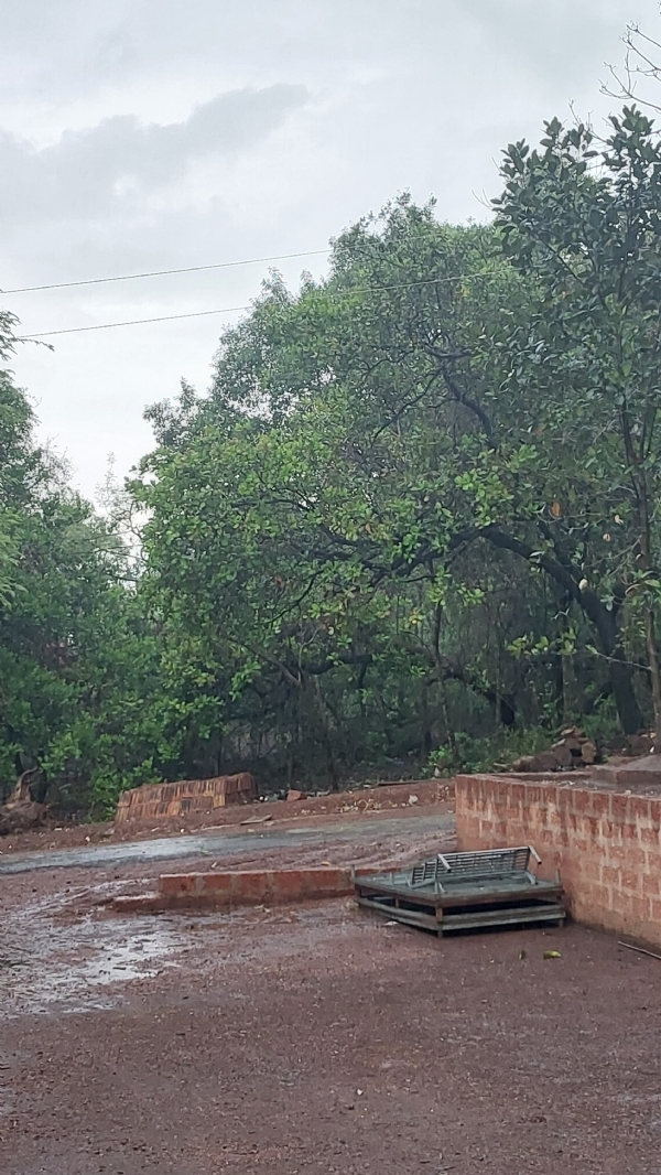 रत्नागिरीतील पाऊस