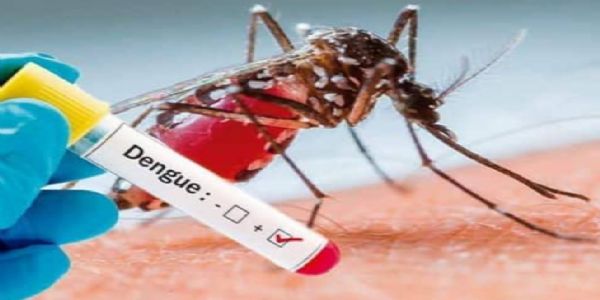 चला ! डेंग्यूवर जागृती करून प्रतिबंधात्मक उपाययोजना करा