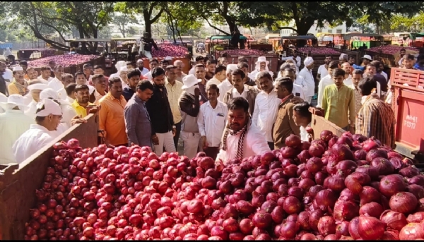 कांद्याचे रेकॉर्डब्रेक उत्पादन, मात्र अपेक्षित भाव नाही