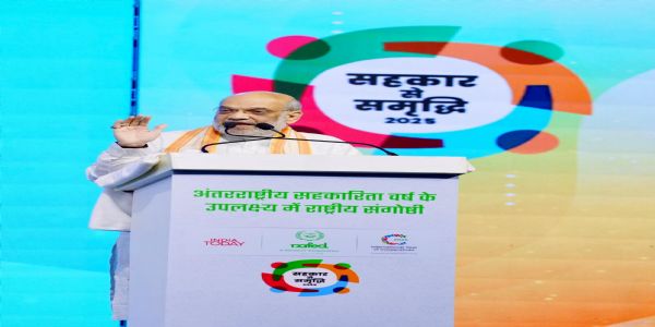 सहकारातून ग्रामीण परिवर्तनाला समृद्धीची दिशा - अमित शाह