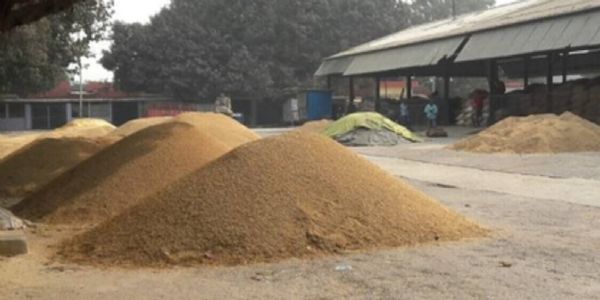 ऑनलाइन पोर्टल बंद; चांदूर बाजारचे ज्वारी विक्रेते प्रतिक्षेत