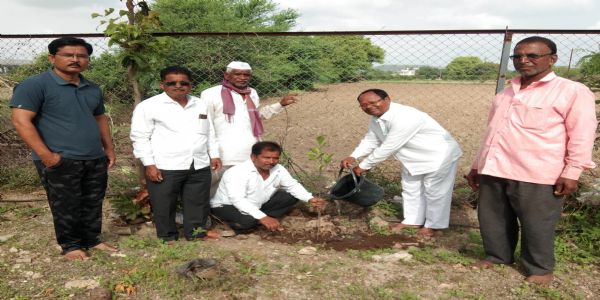 नगर - निमगाव वाघात वृक्षारोपणाने पर्यावरण दिवस साजरा