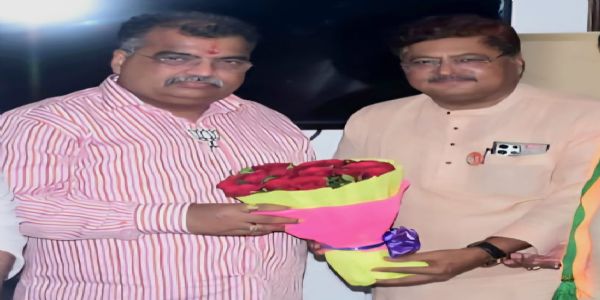 महाराष्ट्रातील भाजपा कार्यकर्त्यांना लाभणार रवी नामक 'दादा' !