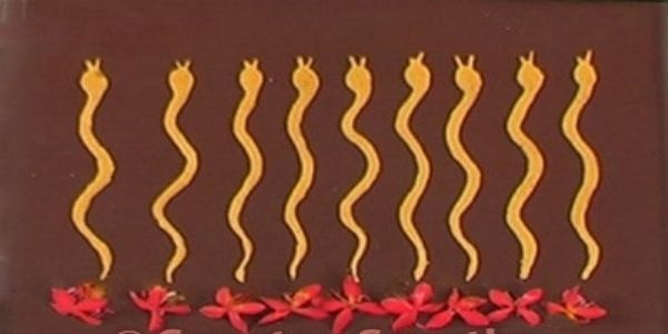 नागपंचमीचे महत्त्व आणि नागदेवतेचे पूजन कसे करावे ?