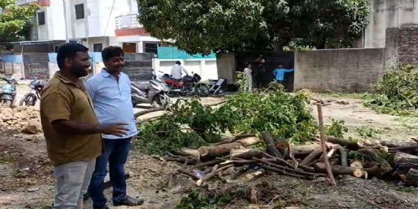 नगर - मुकुंद नगर येथे विद्युत पुरवठा करणाऱ्या तारांवर झाडांच्या मोठ्या फांद्या
