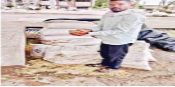 अचलपूरमध्ये अडत्याच्या निष्काळजीपणामुळे 20 कट्टे गव्हाला पावसामुळे फुटले कोंब