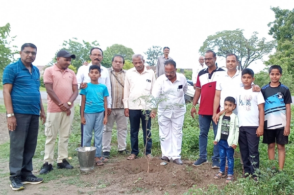 राहुरी फॅक्टरी येथील हॉलीबॉल मैदान परिसरात वृक्षारोपण