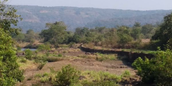 तब्बल चार दशकांच्या प्रतिक्षेनंतर सांबरकुंड धरणाचे काम सुरू होणार