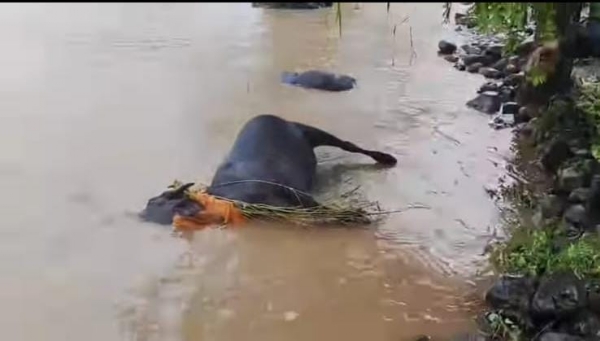 लातूर