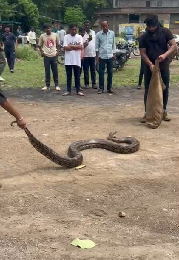 प