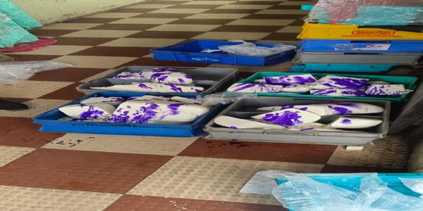 नाशिक - बनावट खवा व पनीर असलेल्या दुकानावर कारवाई