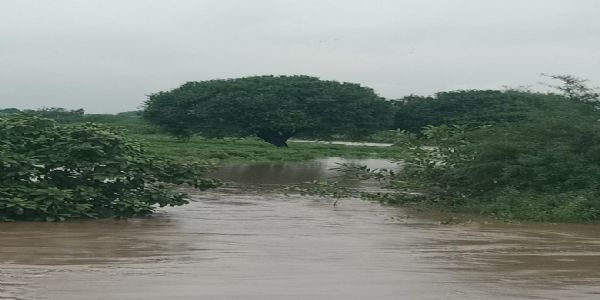 मूर्तिजापूर तालुक्यात 