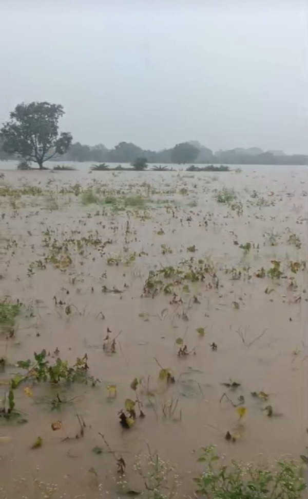 पूरग्रस्त शेतकऱ्यांसाठी ओला दुष्काळ जाहीर करा – दिगंबर जाधव यांची सरकारकडे मागणी