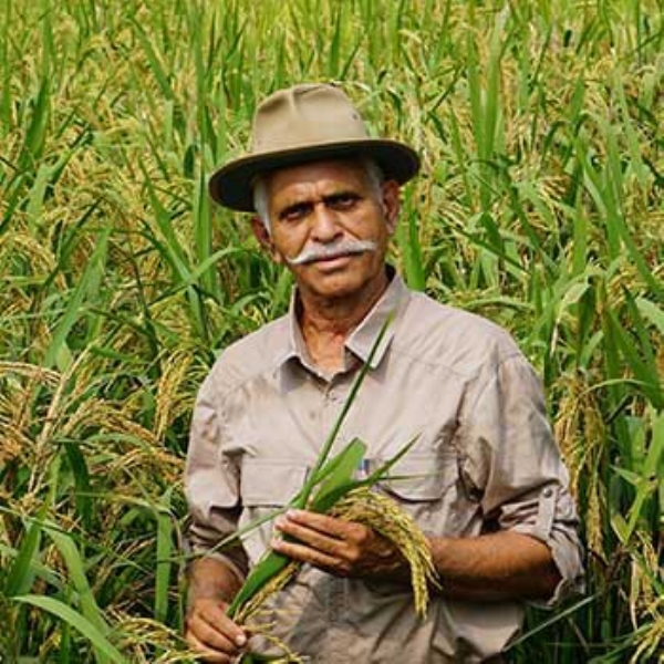 चंद्रशेखर भडसावळे