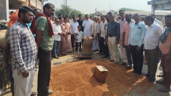 धामणगाव बाजार समितीमध्ये नवीन तूर खरेदीचा शुभारंभ, 8111 रु. भाव