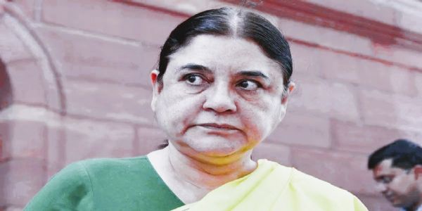 मोकाट कुत्र्यांचे प्रकरण : मेनका गांधींना सर्वोच्च न्यायालयाची तंबी