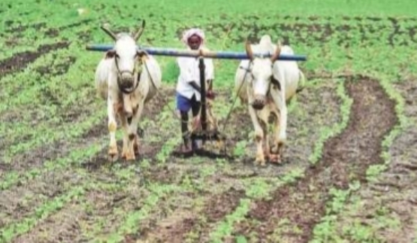 शेतकरी शेती