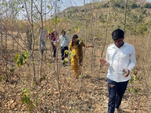 एक लक्ष ४५ हजार वृक्ष लागवड व जलसंधारण उपक्रमांची पाहणी