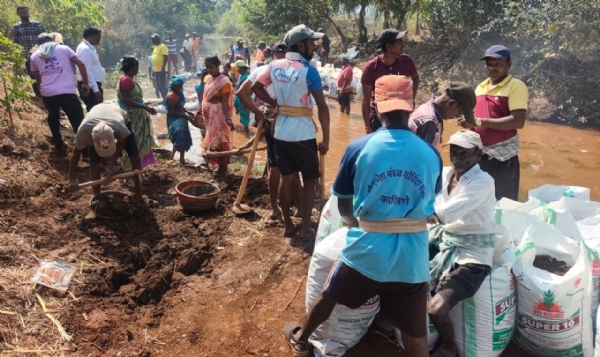 श्रमदानातून जलसमृद्धीकडे वाटचाल; कारिवणे ग्रामस्थांनी उभारले वनराई बंधारे श्रमदानातून जलसमृद्धीकडे वाटचाल; कारिवणे ग्रामस्थांनी उभारले वनराई बंधारे