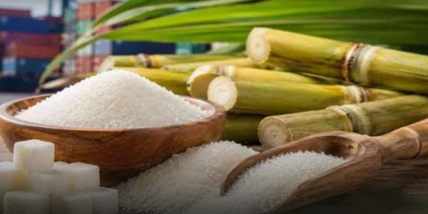 ऊस उत्पादक शेतकरी आणि साखर क्षेत्राशी संबंधित समस्या तपासण्यासाठी केंद्राची समिती