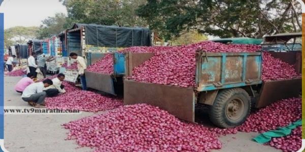लासलगाव बाजारात लाल कांदा दाखल; कमाल दर ३४०० रुपये