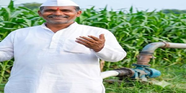 शेतकऱ्यांसाठी चारा लागवडीची विशेष योजना; मोफत बियाण्यांसह मजुरी व खतांसाठीही सहाय्य