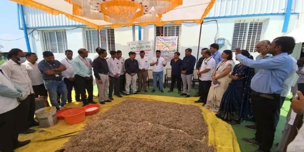 नांदेड - उपलब्ध चाऱ्याचे पौष्टिक मूल्यवर्धन करण्याचे जिल्हाधिकारी कर्डिले यांचे आवाहन