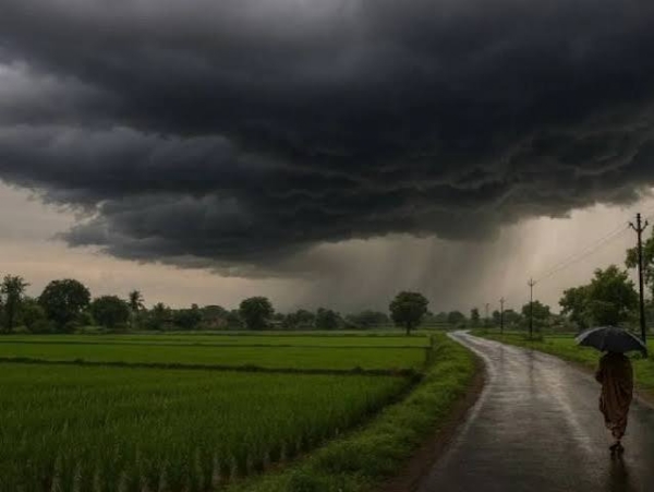 Monsoon Retreats Many Parts MH 20 Districts Experience Rainfall Deficit