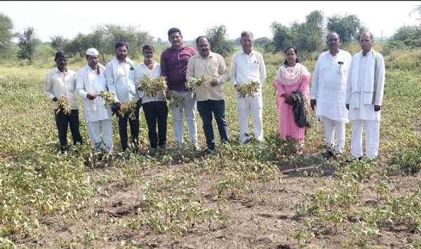 पिकांच्या नुकसानीचे पंचनामे