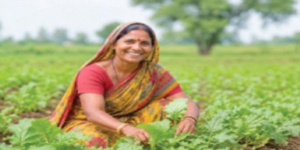 अमरावती - महिला शेतकरी नोंदणीत दर्यापूर राज्यात दहावा; २० हजार ५०० महिलांची नोंदणी