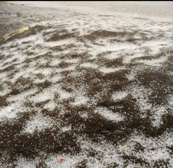 निलंगा पाऊस