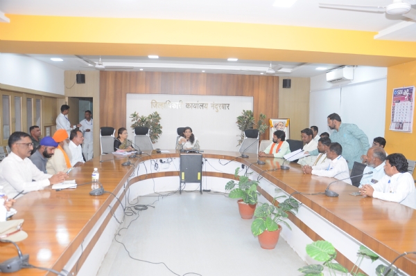 जिल्हाधिकारी डॉ मित्ताली सेठी