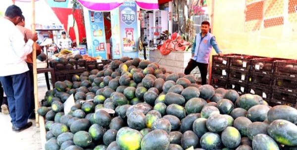 Demand increased, production decreased; Watermelon market under pressure Demand increased, production decreased; Watermelon market under pressure