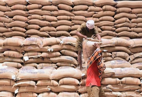 कुडूस खरेदी केंद्रावर ३ हजार क्विंटलहून अधिक भाताची खरेदी; ६९७ शेतकऱ्यांचा सहभाग
