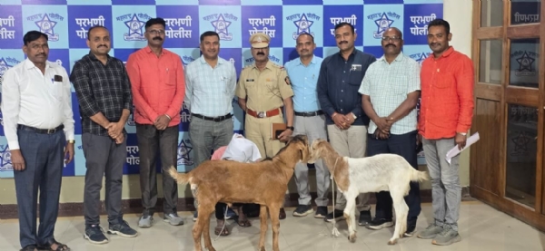 जनावरे चोरी प्रकरणातील आरोपी स्थानिक गुन्हा शाखेच्या जाळ्यात; २१ हजारांचा बोकड जप्त