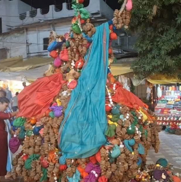 अंबादेवी मंदिरासमोर नवसाची होळी; महिनाभर आधीच होळी उभारण्याची प्रथा
