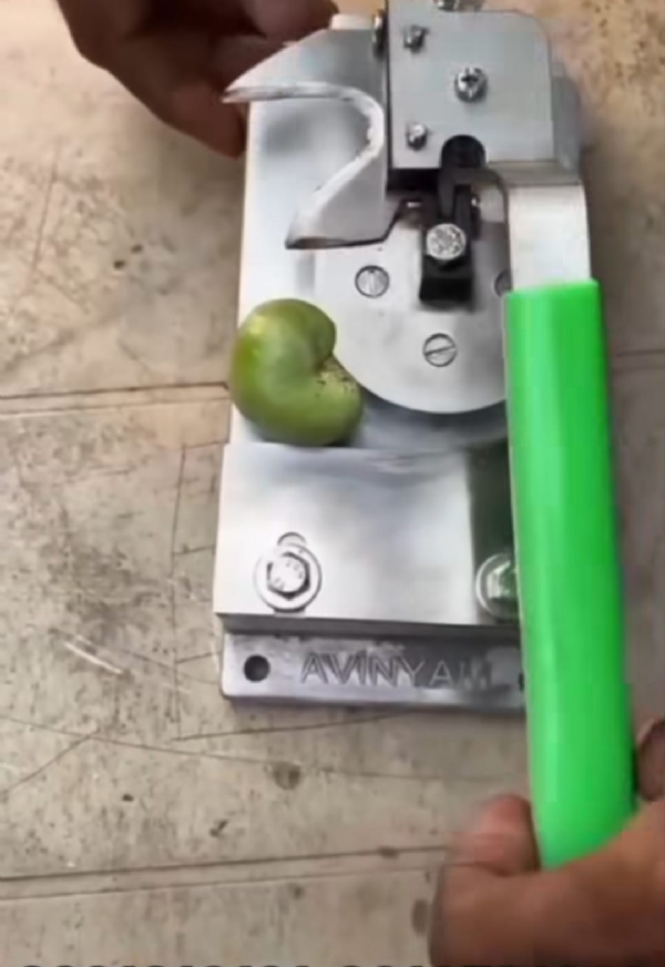 ओला काजूगर सोलण्याचे यंत्र