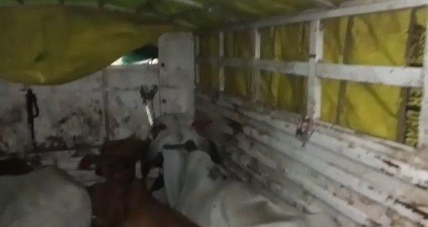 पोलिसांची कारवाई