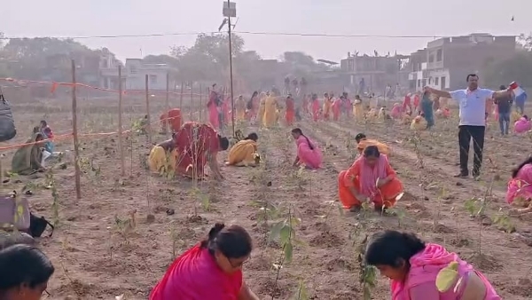 UP VNS POUDH ROPAN VISV RIKARD UP VNS POUDH ROPAN VISV RIKARD