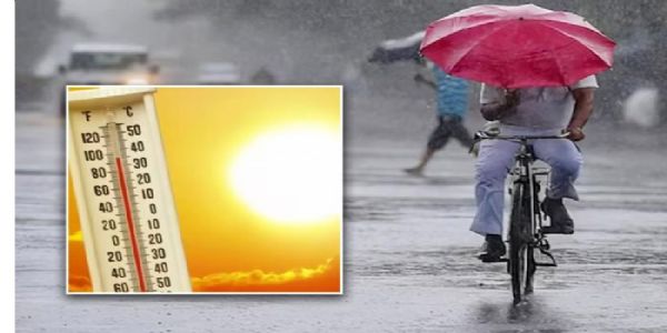 विदर्भात शुक्रवारपासून हलका ते मध्यम पाऊस