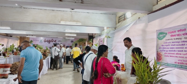 कंदमूळ महोत्सवाला कोल्हापूरात प्रचंड प्रतिसाद