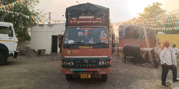 अहमदपूरमध्ये कत्तलीसाठी नेले जाणारे ९ बैल जप्त