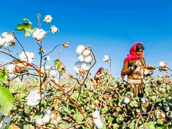 प्रतिकात्मक छायाचित्र