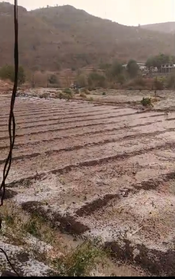 Five talukas of the district