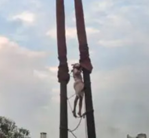 सावंगा विठोबा येथे भक्तांची अलोट गर्दी, 72 फूट उंच झेंड्यांवर चढवण्यात आली खोळ:थरारक सोहळा मुख्य आकर्षण सावंगा विठोबा येथे भक्तांची अलोट गर्दी, 72 फूट उंच झेंड्यांवर चढवण्यात आली खोळ:थरारक सोहळा मुख्य आकर्षण