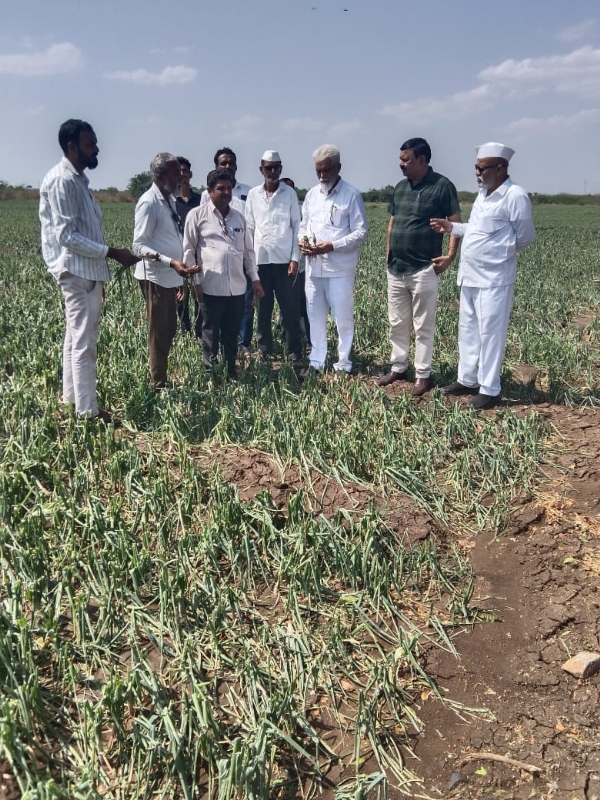 School Education Minister