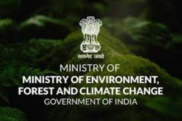 NBA NGT EXPERT COMMITTEE NBA NGT EXPERT COMMITTEE