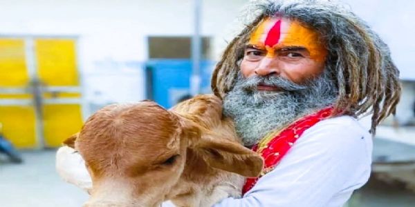 उत्तरप्रदेशात गोरक्षकाचा ट्रकखाली चिरडून मृत्यू